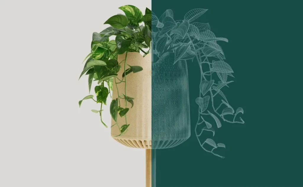 air purifying plant air purifying plant by Neoplants