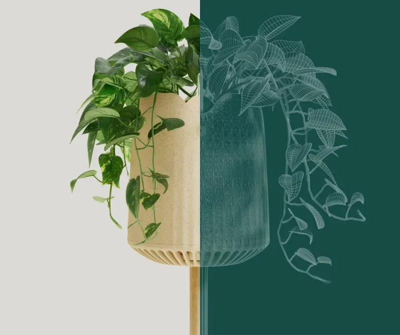 air purifying plant by Neoplants