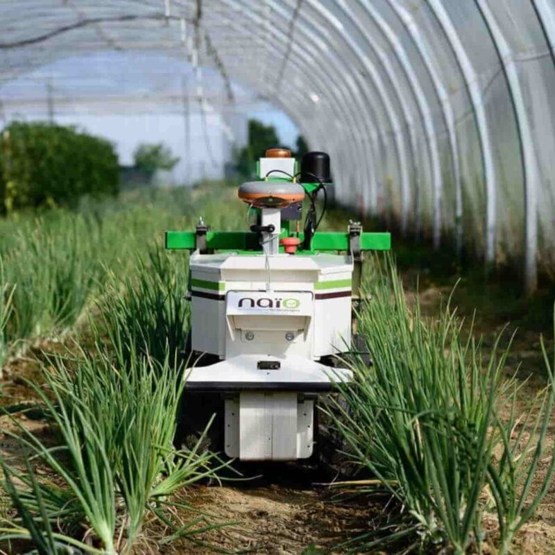 Precision farming robots Naio technologies